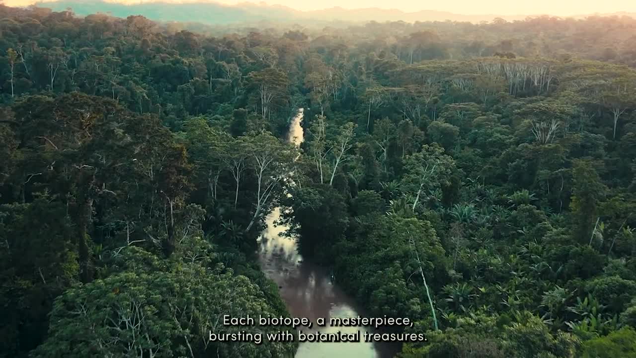 Scene from BOTALYS — Impossible Sourcing. Flawless Botanicals.