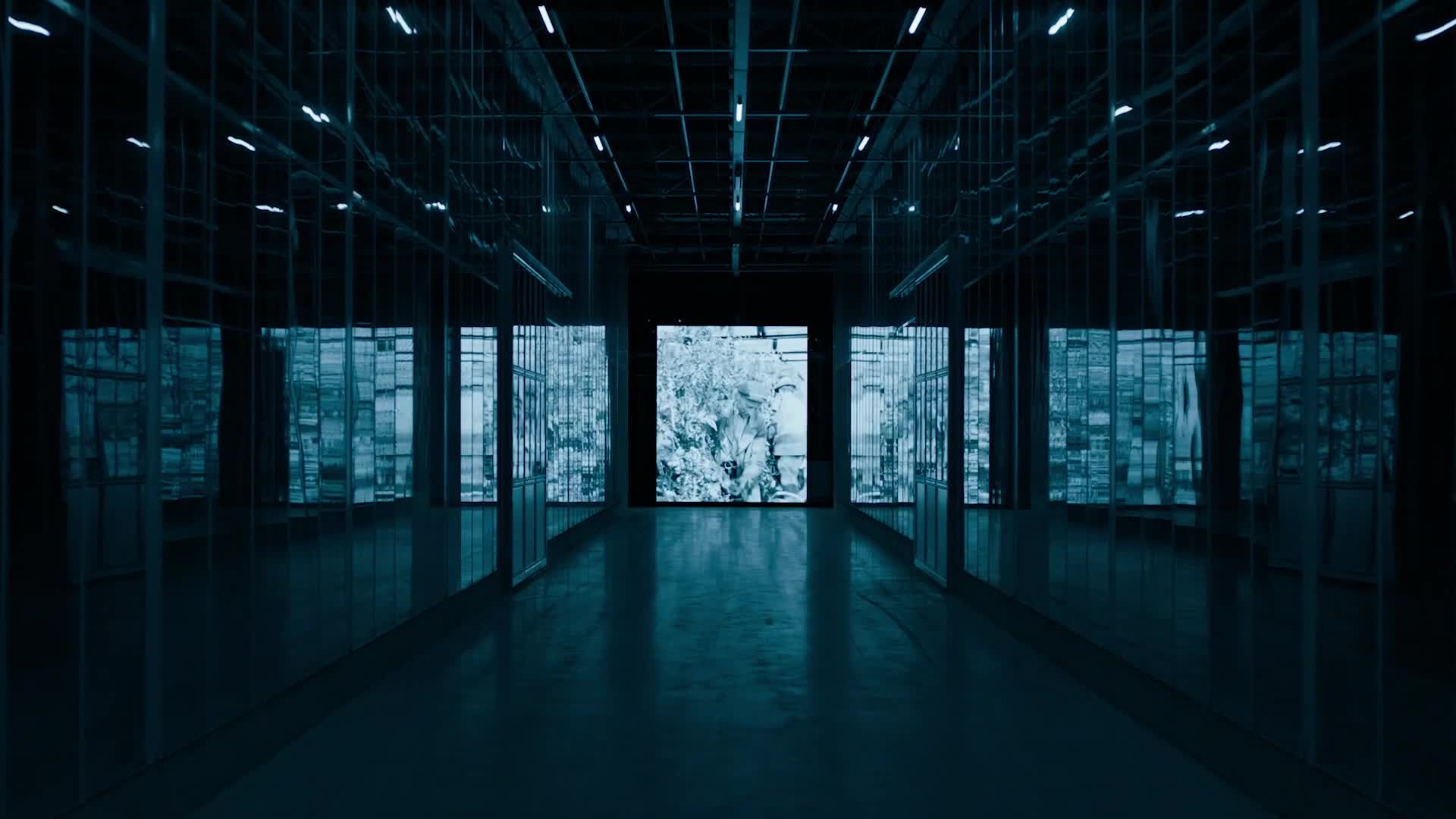Scene from IIVO — It’s time to connect Nature with Technology